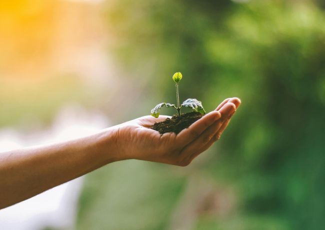 2025.1.1起 飯店不主動提供一次性備品